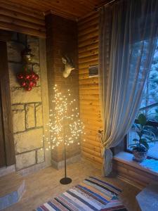 Бойківчанка