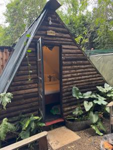Forest Small house-Nelion