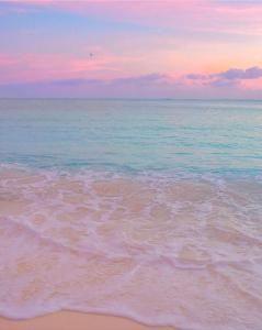 Apartment in Lechería, Beach, Marina, Shopping