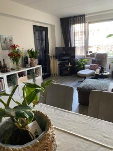 The Scheveningse Meisjes