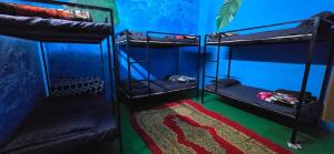 Waterfall Camping A Hidden Paradise near Rishikesh