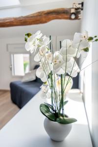 La Vallière, maison lumineuse et calme près du PuyduFou