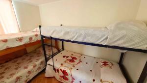 D11-4 Depto diario Arica