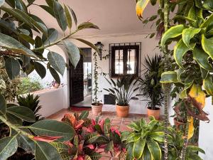 Paradise Sea View apt Nerja