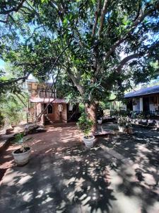 Serenity house in Dambulla