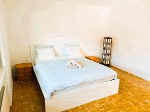 Large Flat with Balcony in Zurich, Kars