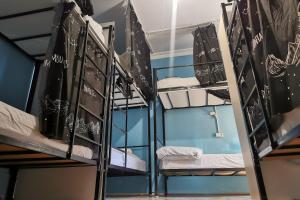 Harmony Backpackers Hostel