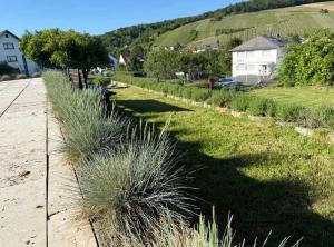 Romantic getaway with pool & panoramic vineyards