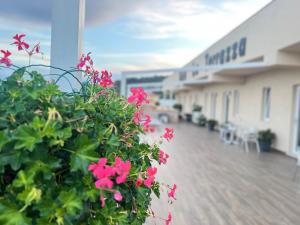 B&B La Terrazza Polifrone