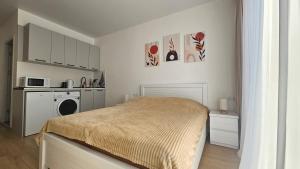 Bakuriani Cozy Studio