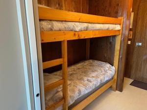 Studio cosy au Praz de Lys, 4 personnes, vue Mont-Blanc, proche pistes - FR-1-815-33