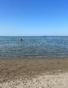 Apartament shengjin Beko