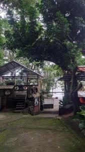 la chiponga beach hostel