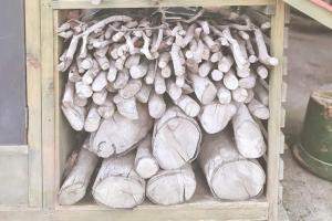 Quinta Pavo Real By Acomodo