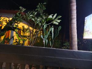 Menowall SEA GARDEN Guesthouse