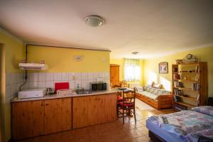 Czanadomb apartman