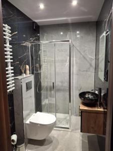 Apartament pod Czarną Górą