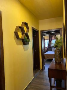 Cabaña Terraza Jardin Puerta del Bosque Mazamitla num 12