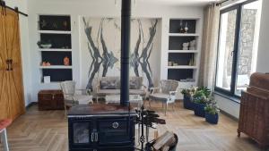 Villa Snowia Kartalkaya