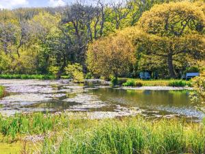 Druidston Old Farmhouse