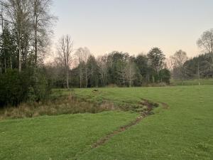 Cabaña Roble - BBQ Home Office Washer Wood Hot Tub