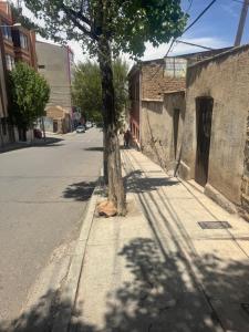 Valvic Oruro