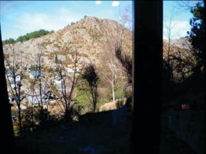 Complejo Los Abedules