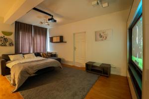 Cozy Semi-Central apartment with free parking and workspace