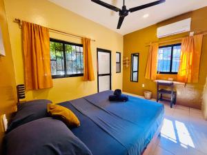 Costa Rentals Palmar & Wasi