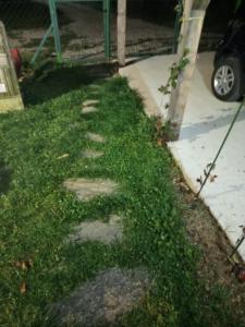 Guess House Tara Studio