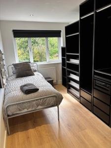 Modern house in the countryside