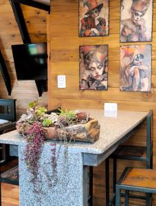 casa alpina Maxi premiun