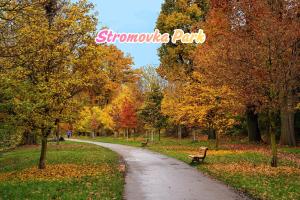 Lovely Family apartment with Terrace, near Center, Parks and City viewpoints