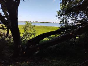 4 star holiday home in Præstø-By Traum