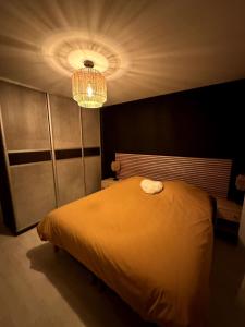 Apartment - Colmar Center - La Roseraie