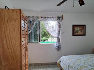 Estudio Coatí Azul en la Isla de Cozumel en el Caribe