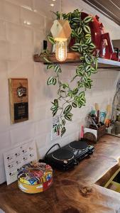 Le Ville - Campos do Jordão