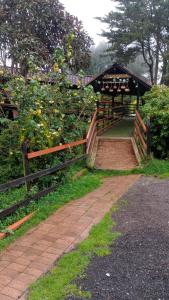 Cabañas del bosque - La casa en la piedra