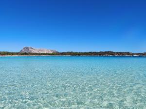 Comfortable apartment near Budoni img17