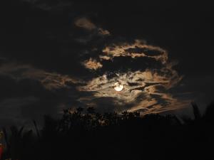 Calm - Stay under the stars in Auroville