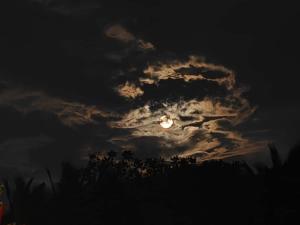 Vastness - Stay under the stars in Auroville