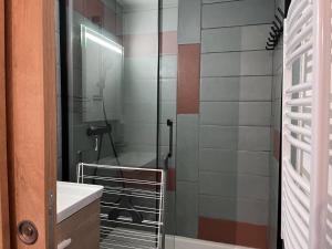 Charmant appartement rénové face aux remontées mécaniques, jusquà 4 personnes - FR-1-812-149