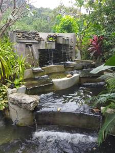 Areeya phubeach resort wooden house Coliving Coworking