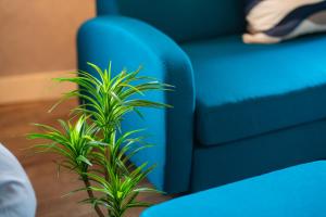 monthly シャトレー代々木