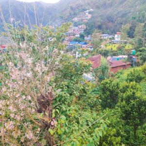 Balthali Heritage Inn Resort