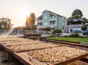 Villa Šolo – Peaceful Nature Park Getaway