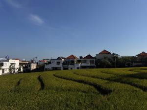 New! Villa Sahar - 2BR Private Ricefield Getaway