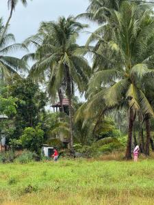 Homestay Kamilia