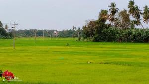 Happiness Villa and Yala Safari