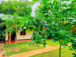 Liyara Lodge Sigiriya